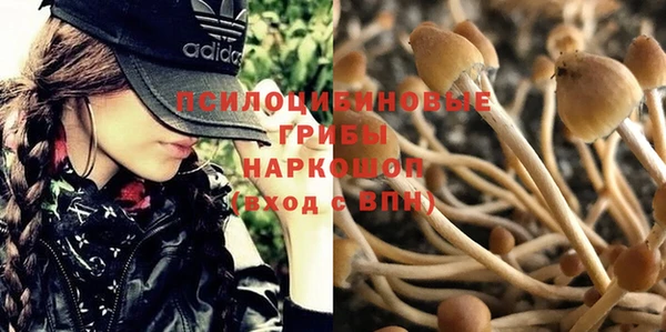 герыч Горнозаводск