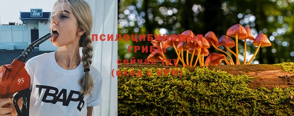 MESCALINE Горняк