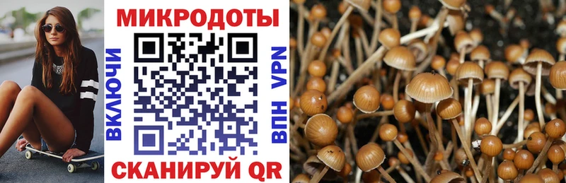 Галлюциногенные грибы мицелий  Севастополь 